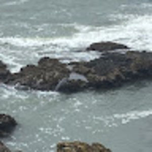 Meet your Posher, Patricia